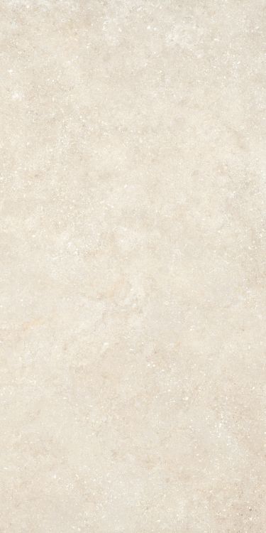 Untamed Wander Warm 24 x 48 Untamed Wander Warm 24 x 48